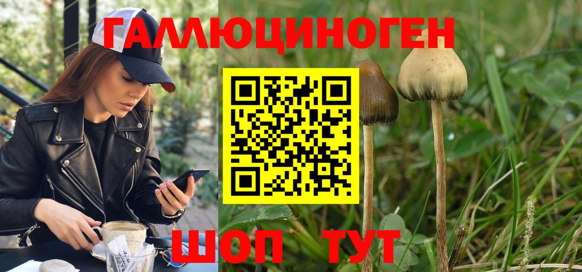 Санкт-Петербург  Псилоцибиновые грибы MAGIC MUSHROOMS  купить наркотики сайты  Вход с VPN 