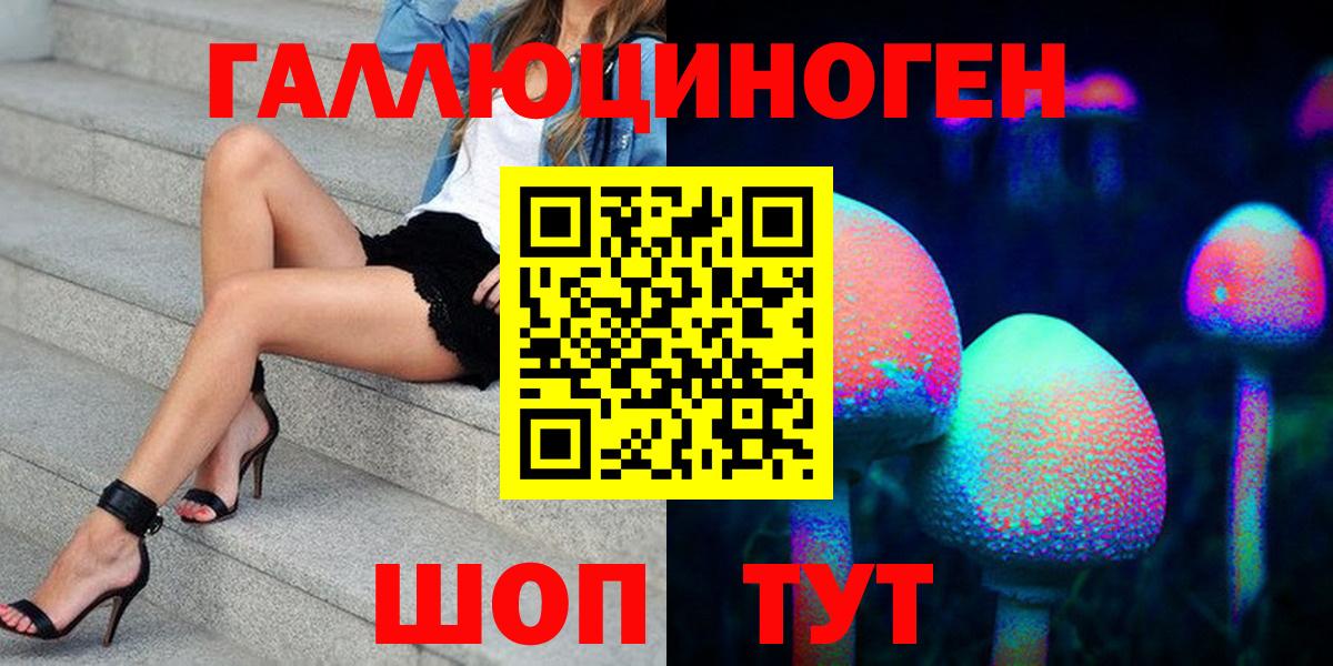 Псилоцибиновые грибы Cubensis Санкт-Петербург