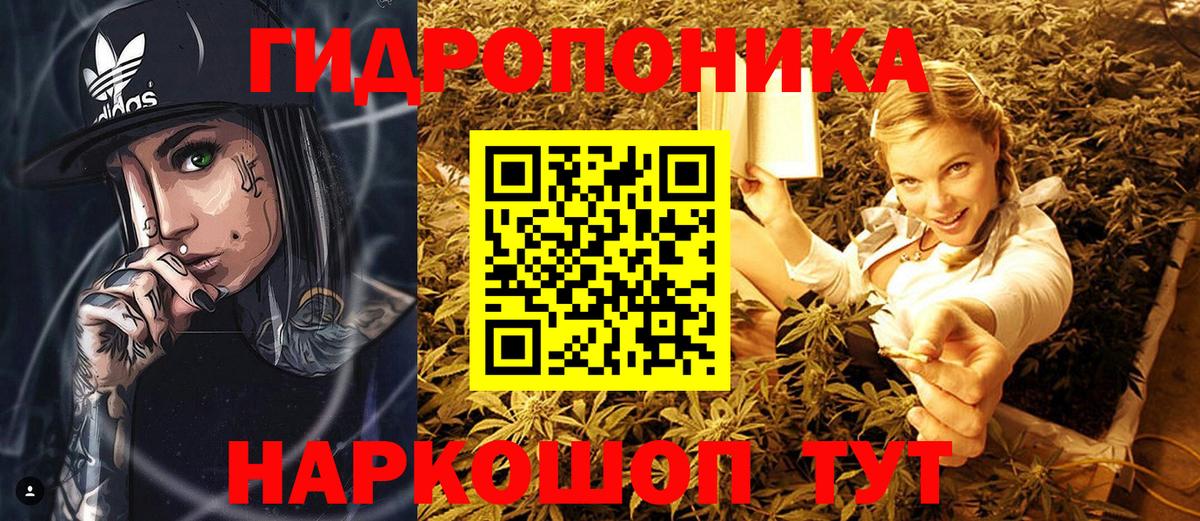 Канабис OG Kush  Шишки марихуана семена  Санкт-Петербург  Канабис семена  Вход с VPN 